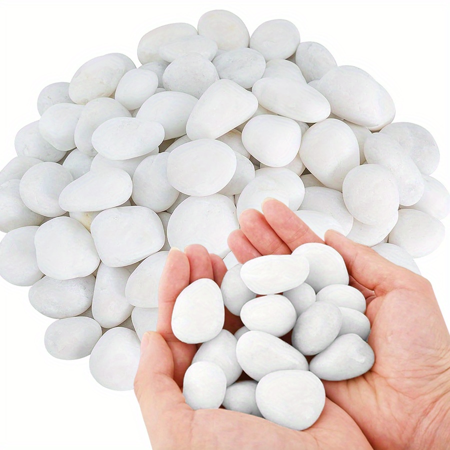 Aquarium Plant In Pot - Cerfsets naturels blancs hautement polis, 200/400g,