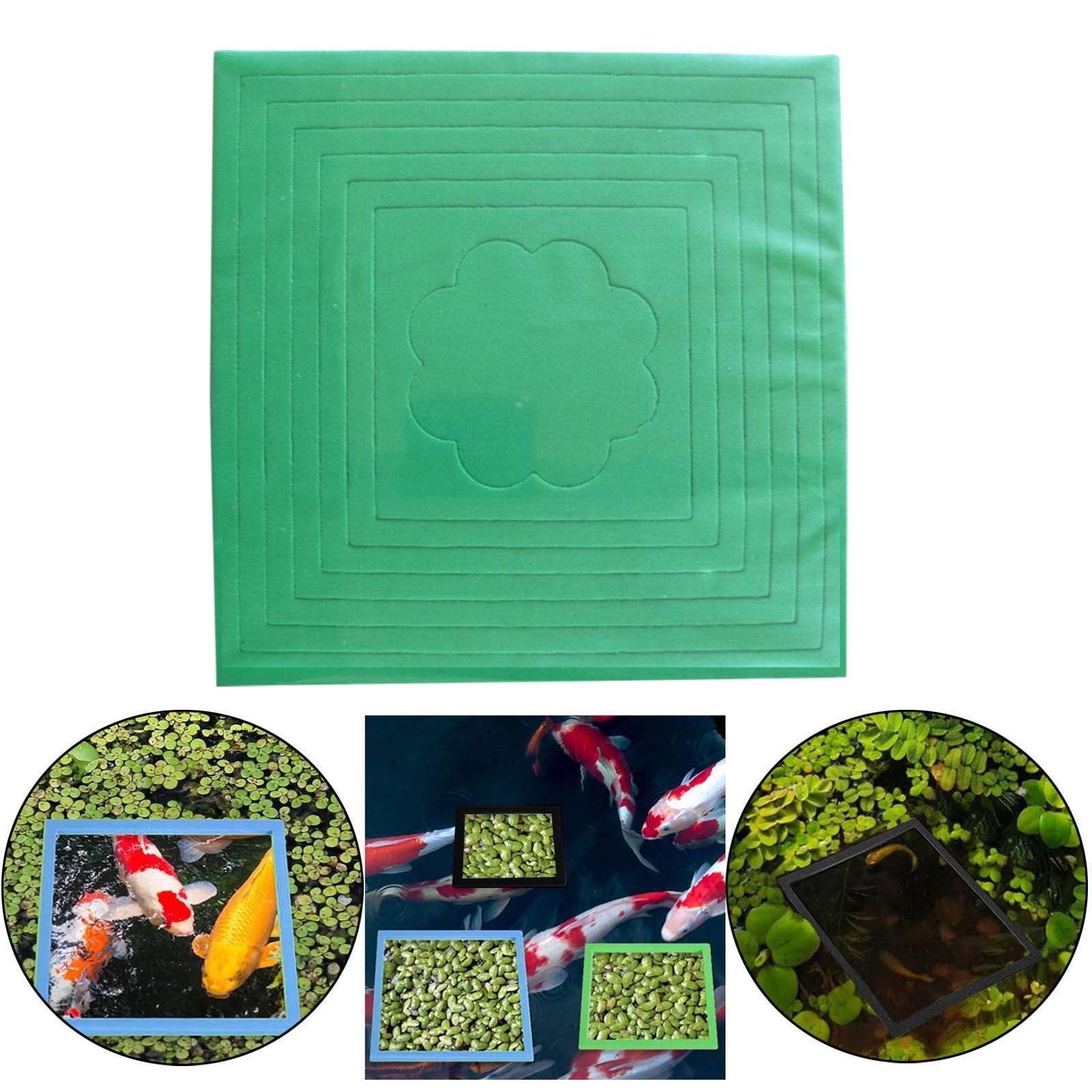 Planted Aquarium Materials - Ensemble d'anneaux d'alimentation pour aquarium en