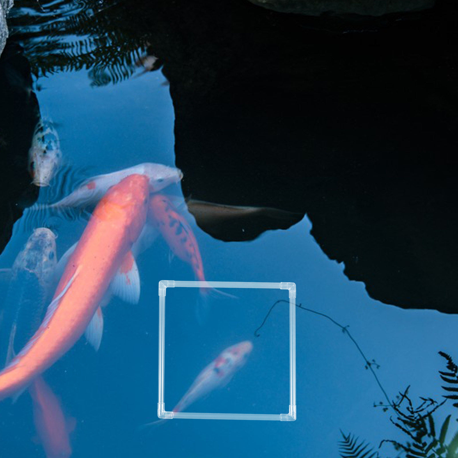 Planted Aquarium Materials - 1 ensemble d'anneaux flottants pour aquarium,
