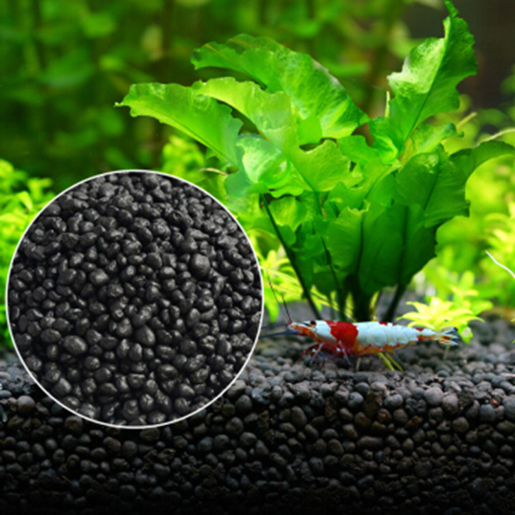 Aquarium Plant In Pot - Sol de graines de plantes d'aquarium,