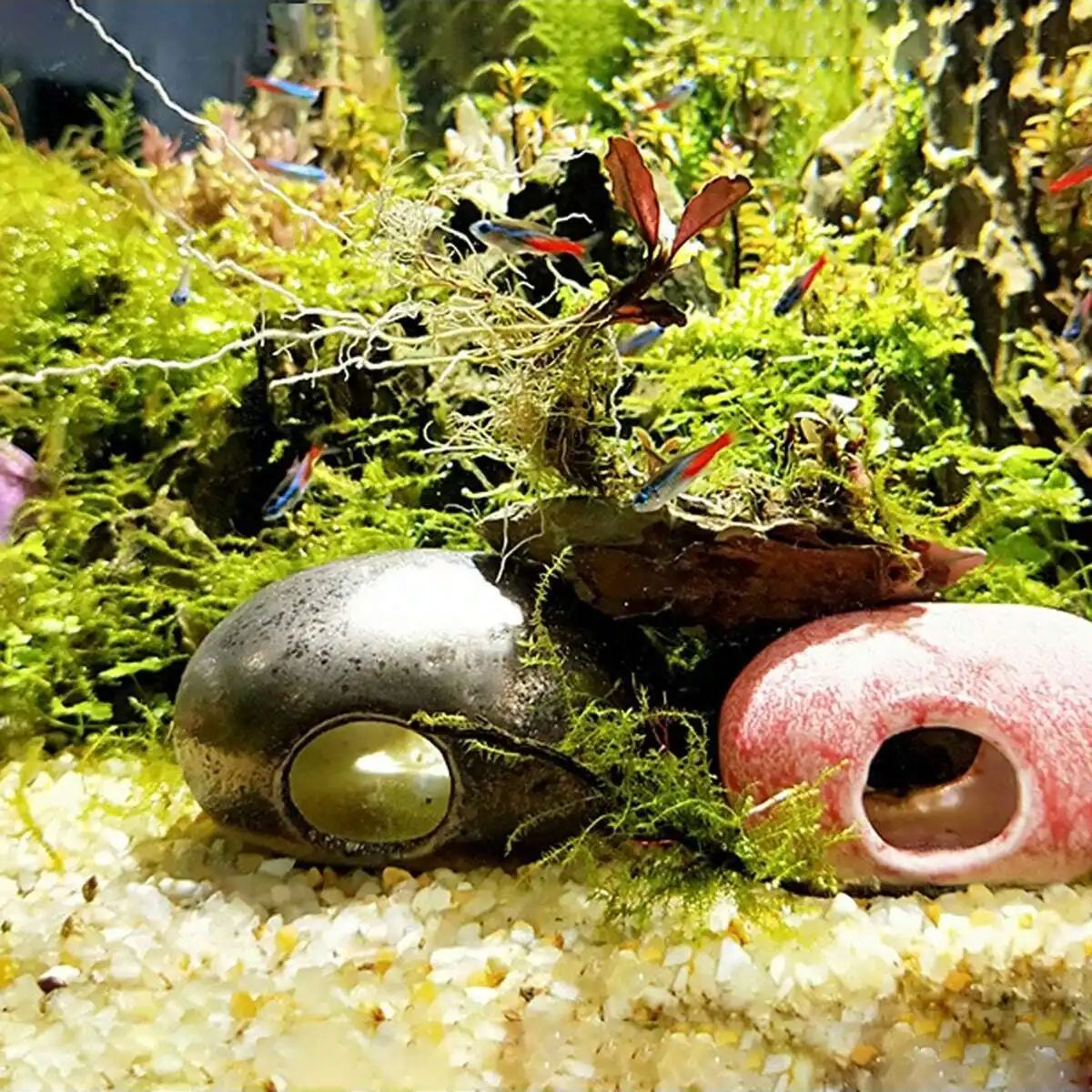 Pierre de gravier en cristaux  - Aquarium Planted Sand avis et prix