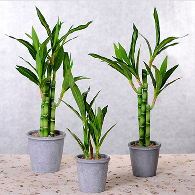 Nouveau 40cm rFtificial chance - Aquarium Plant In Pot avis et prix