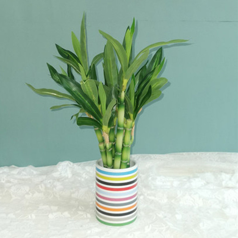 Nouveau 40cm rFtificial chance - Aquarium Plant In Pot avis et prix