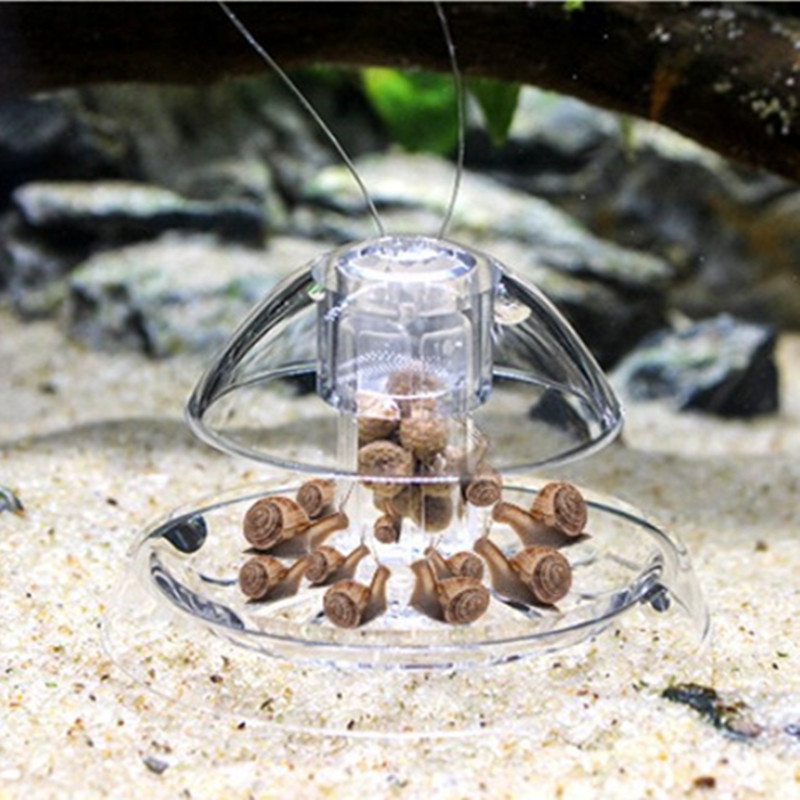 Nettoyeur d'aquarium en plasti - Planted Aquarium Tools avis et prix