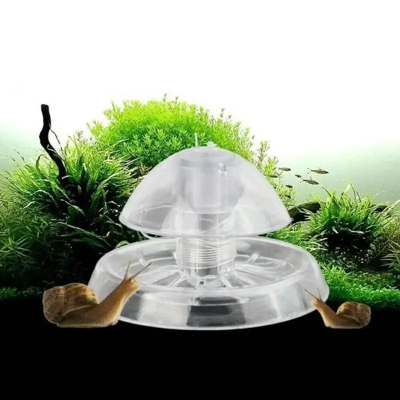 Nouvelle boîte piège à escargo - Planted Aquarium Tools avis et prix