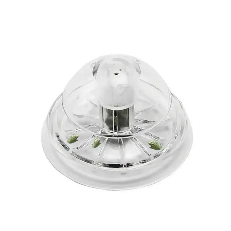 Nouvelle boîte piège à escargo - Planted Aquarium Tools avis et prix