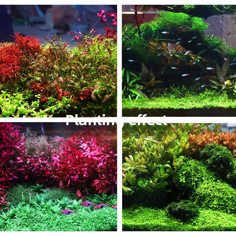 SYSENCIAGA – substrat d'aquari - Aquarium Planted Sand avis et prix