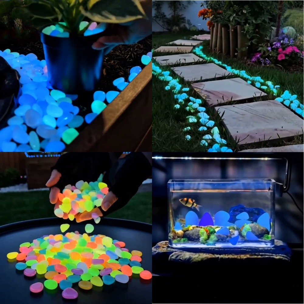 Galets lumineux colorés qui br - Aquarium Plant In Pot avis et prix