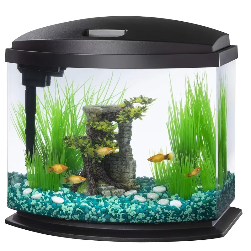 Aquarium personnalisé en verre - Planted Aquarium Materials avis et prix