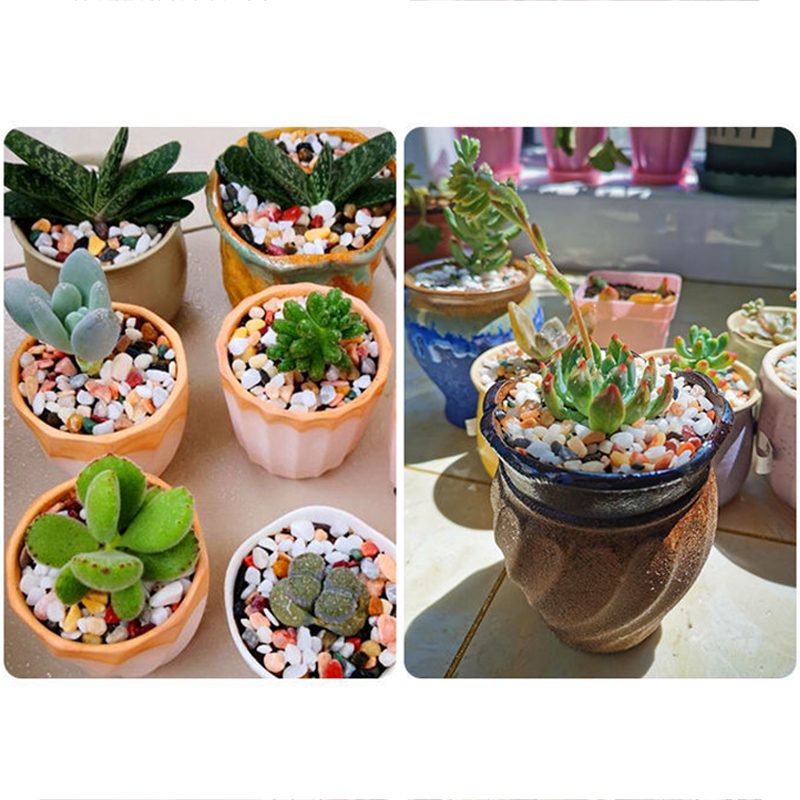 Pierre de gravier naturelle 20 - Aquarium Planted Sand avis et prix