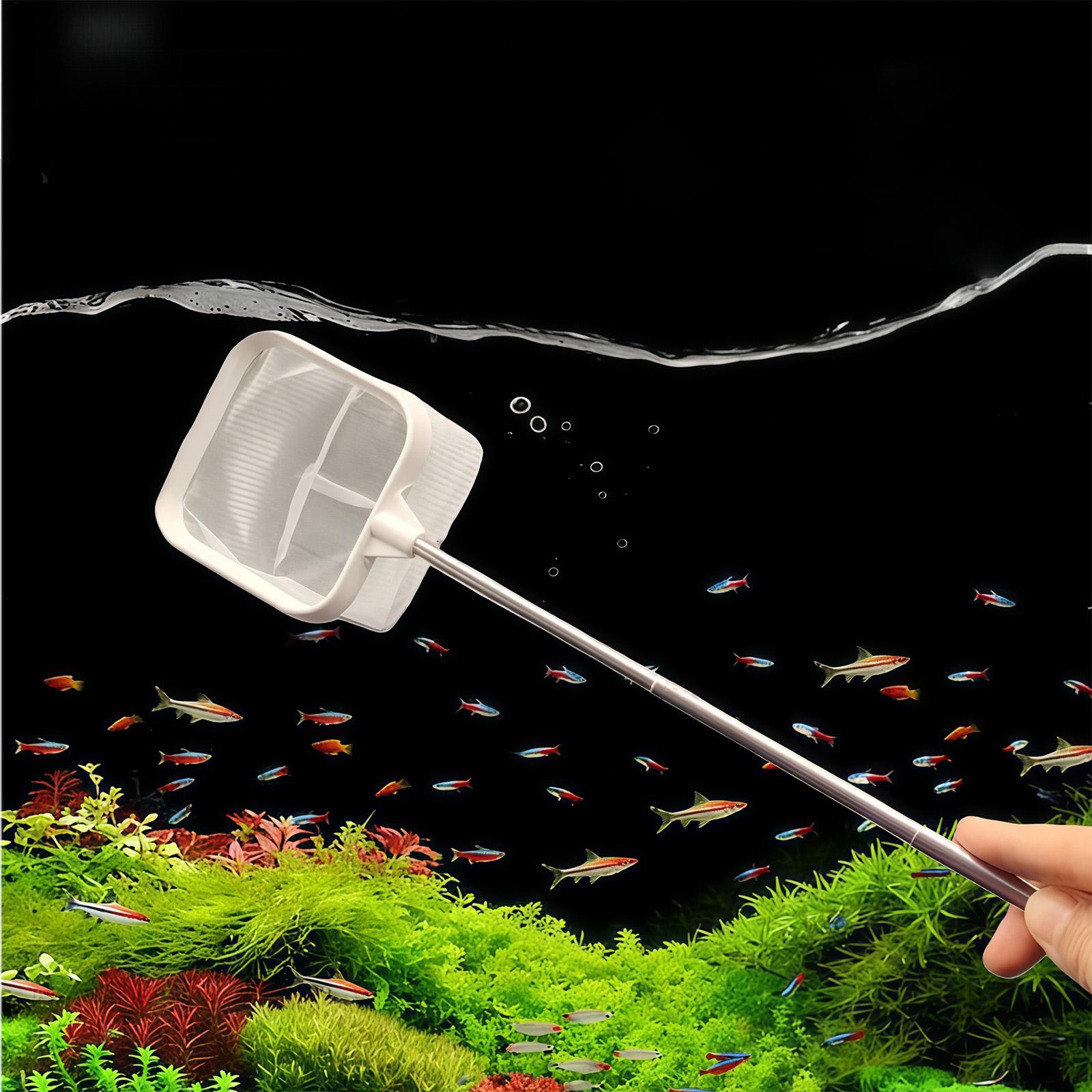 Épuisette à long manche extens - Aquarium Planted Tree avis et prix