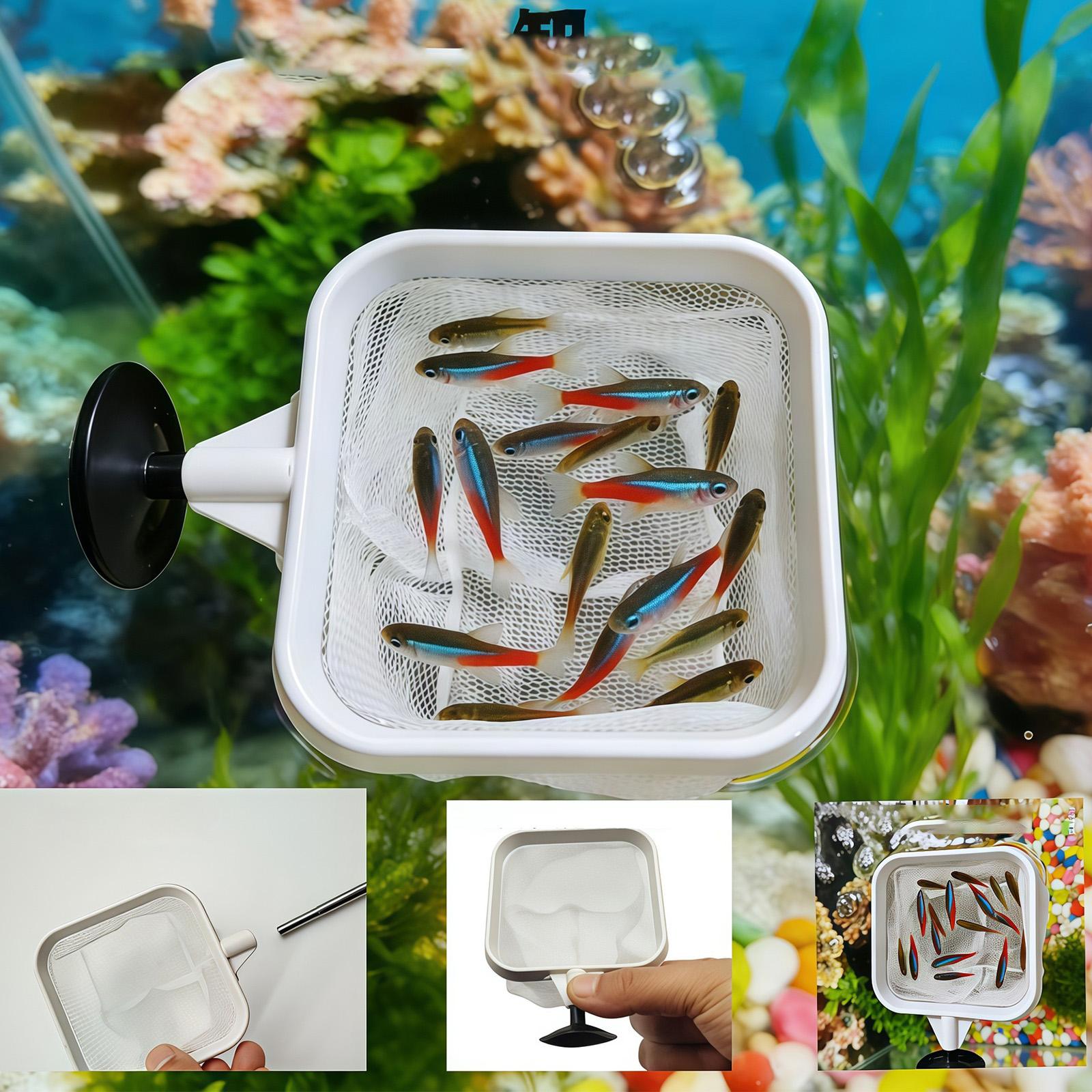 Épuisette à long manche extens - Aquarium Planted Tree avis et prix