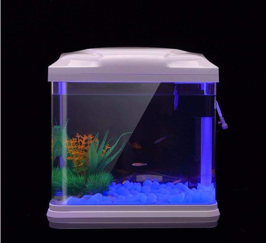 Roches d'aquarium scintillante - Aquarium Plant In Pot avis et prix
