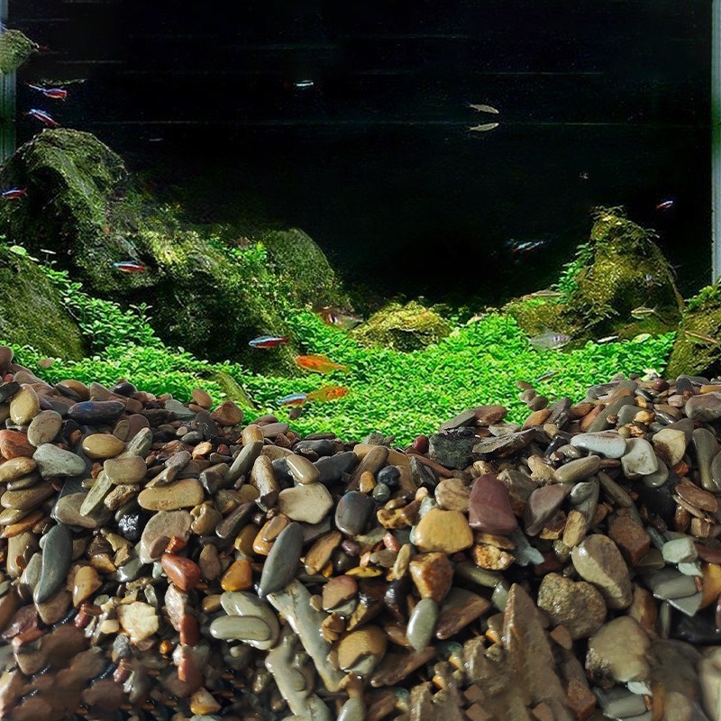 Galets de rivière pour fond d' - Aquarium Planted Sand avis et prix
