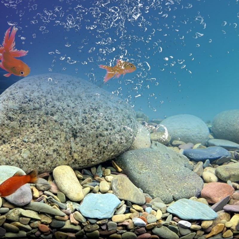Galets de rivière pour fond d' - Aquarium Planted Sand avis et prix