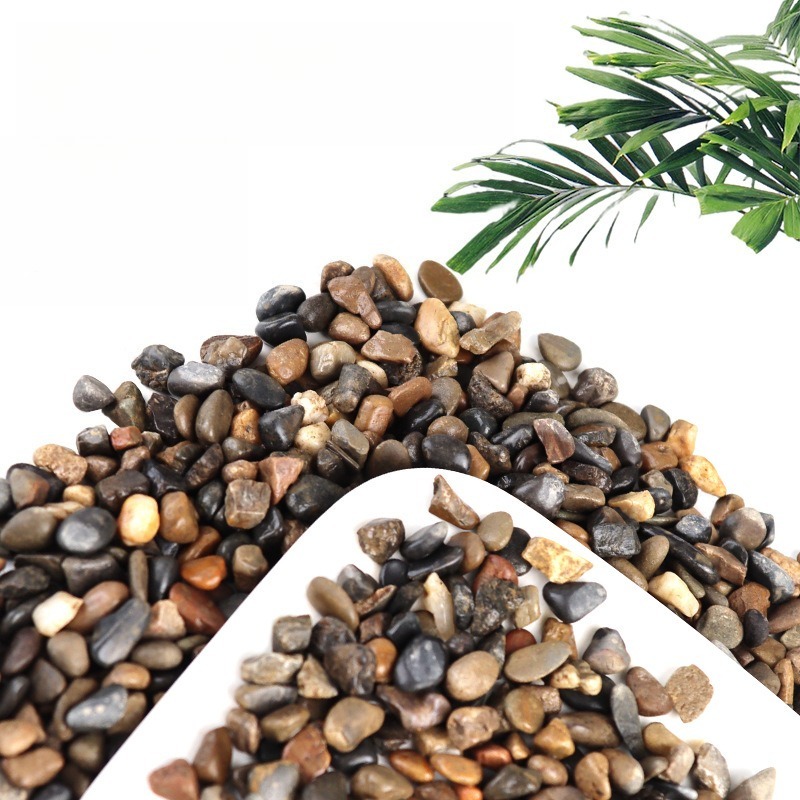 Galets de rivière pour fond d' - Aquarium Planted Sand avis et prix