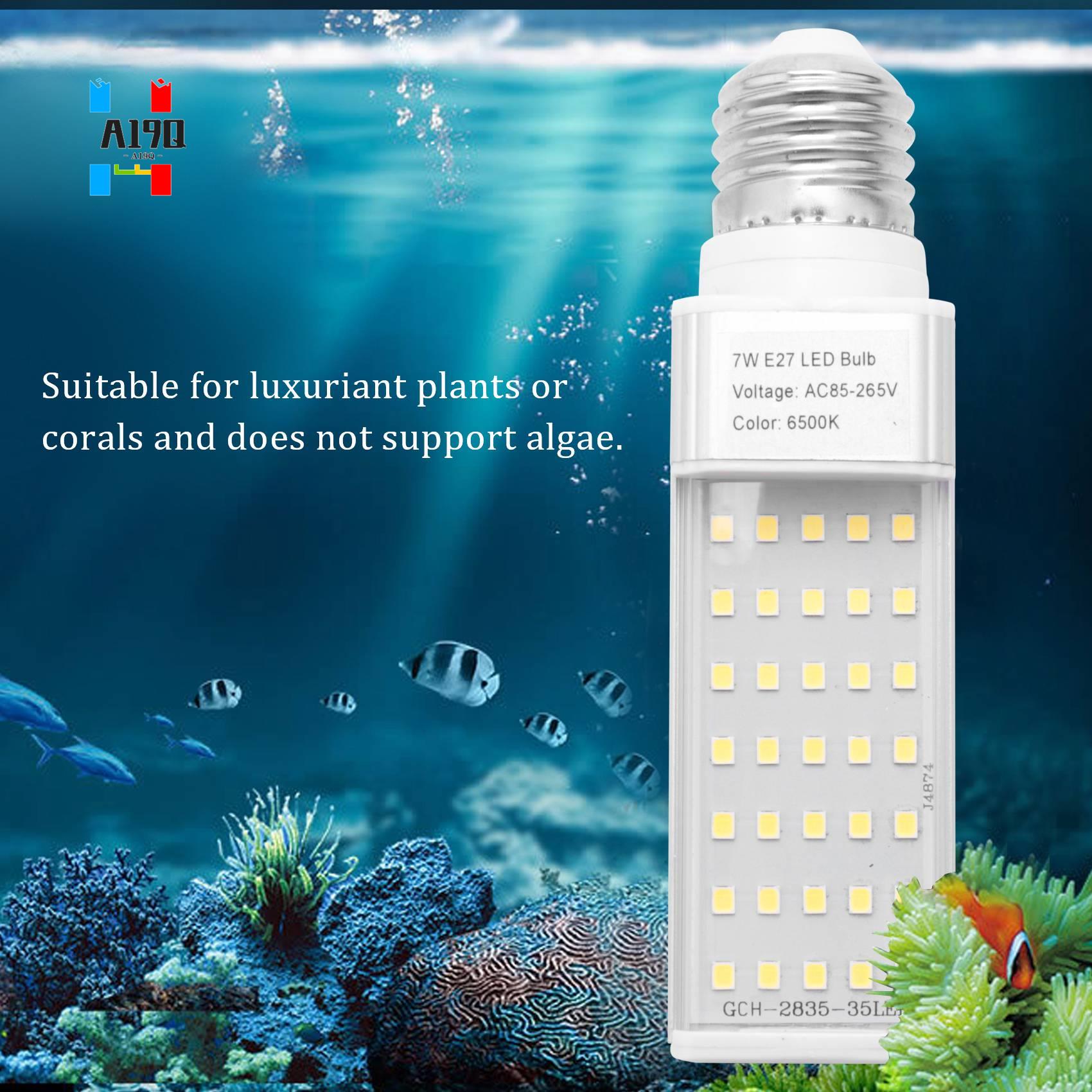 A19Q-Fishpod plante blanche Aq - Planted Aquarium Materials avis et prix
