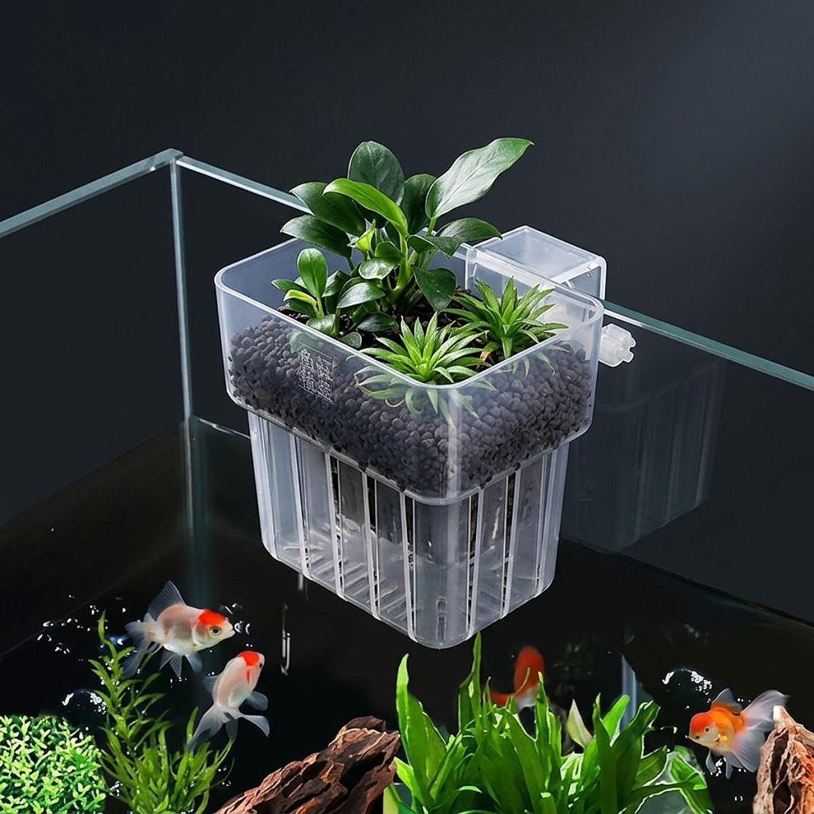 Support de plantes pour aquari - Planted Aquarium Materials avis et prix