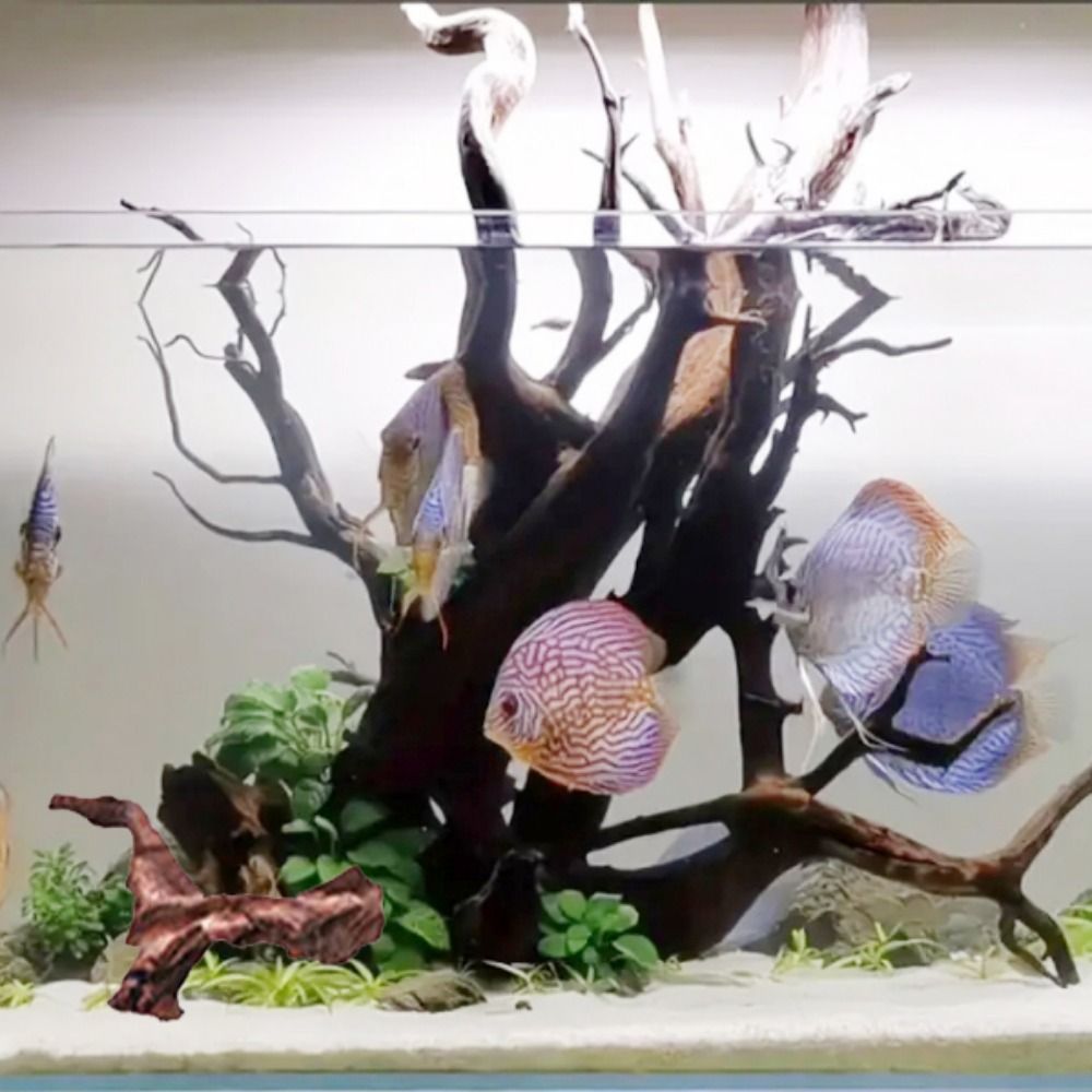 Tronc de bois flotté naturel e - Aquarium Planted Tree avis et prix