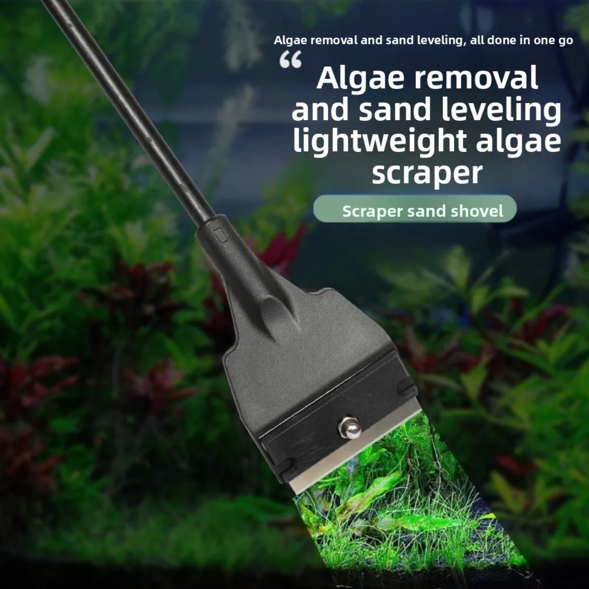 Grattoir à algues en verre pou - Aquarium Planted Sand avis et prix