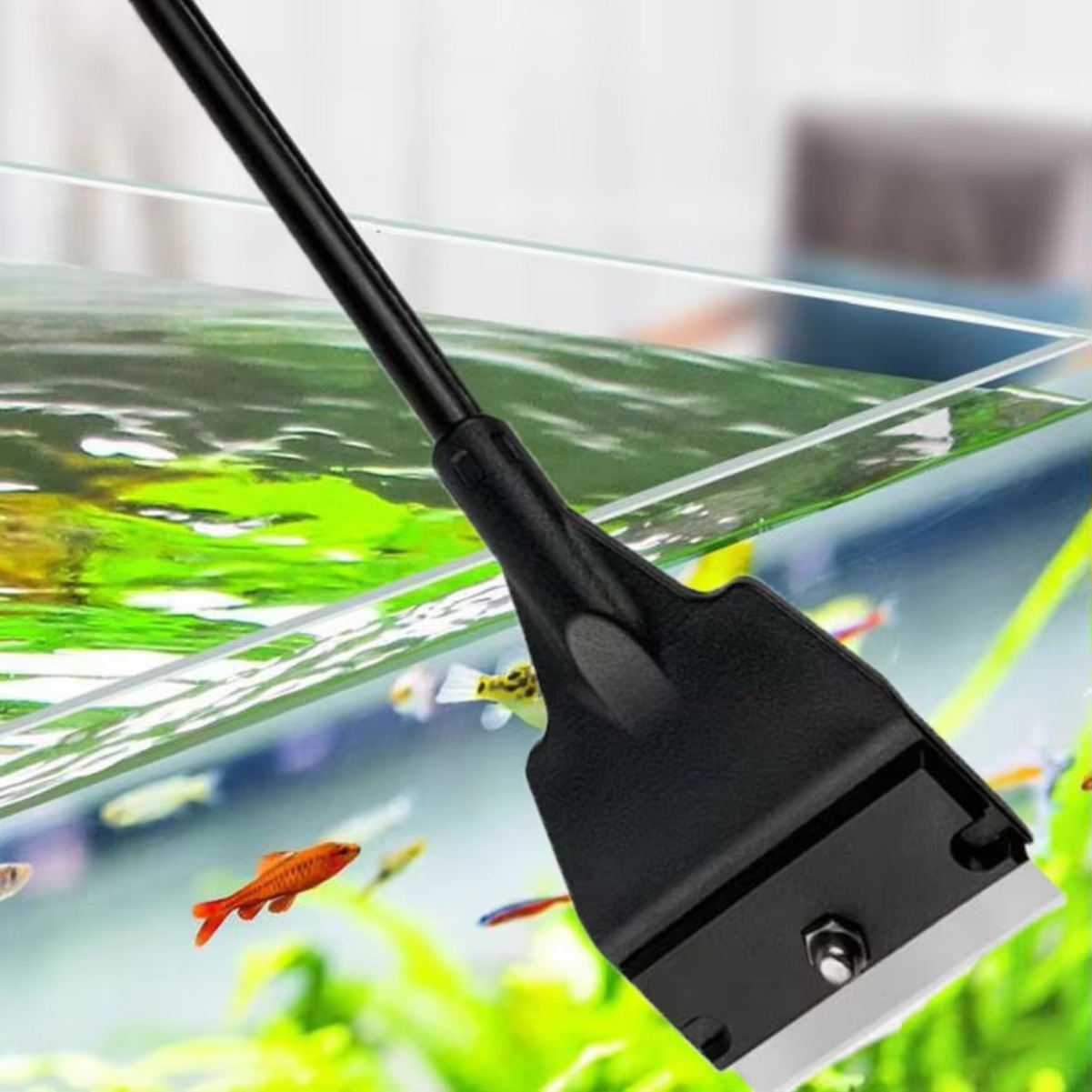 Grattoir à algues en verre pou - Aquarium Planted Sand avis et prix