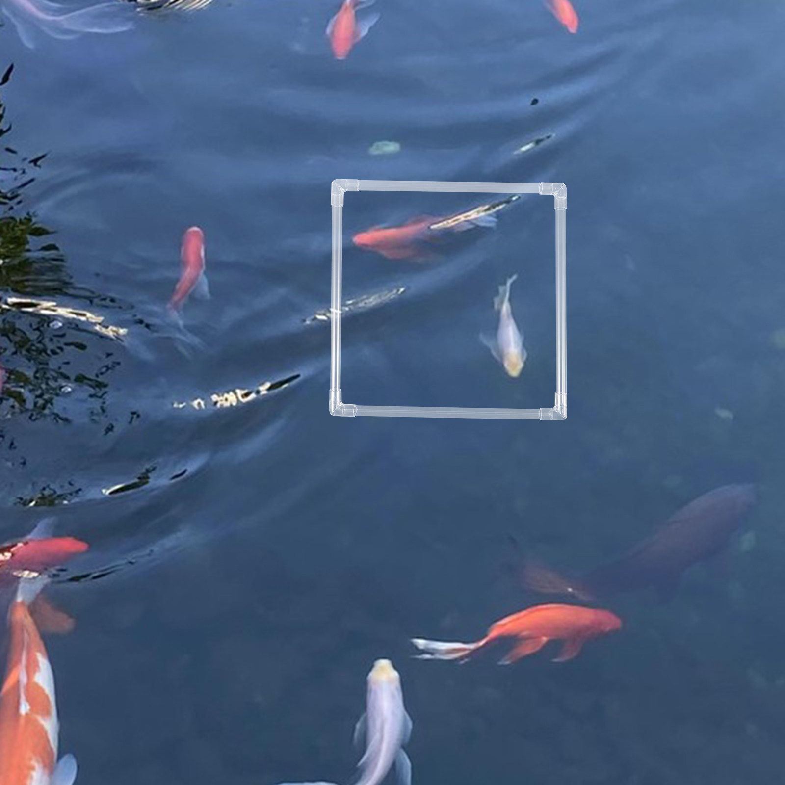 1 ensemble d'anneaux flottants - Planted Aquarium Materials avis et prix