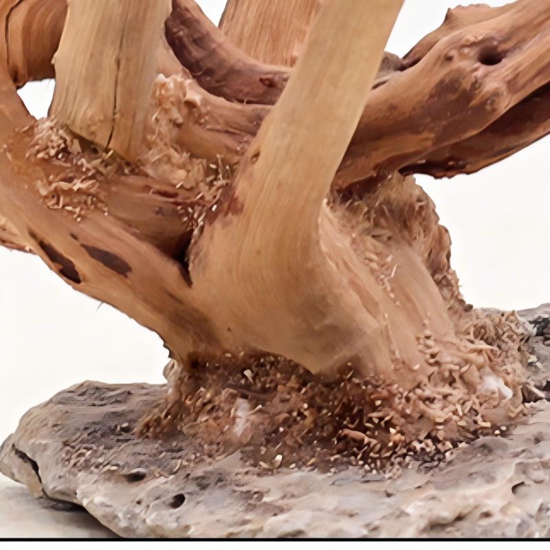Ornements en bois pour aménage - Aquarium Planted Tree avis et prix