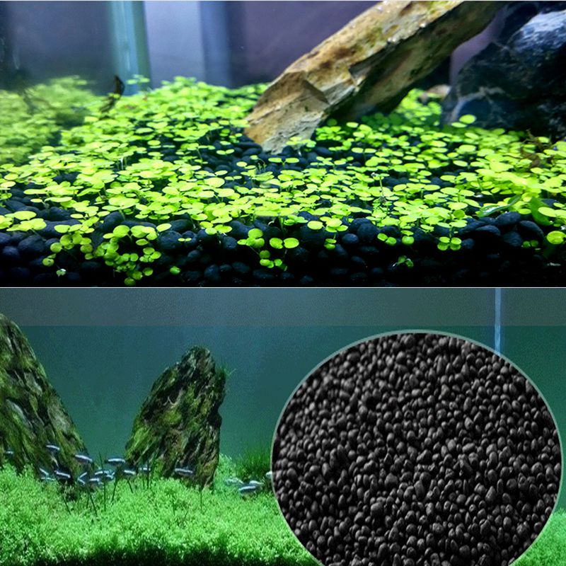 Sable de poisson, substrat Aua - Aquarium Planted Sand avis et prix