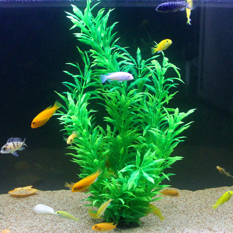 Plantes artificielles pour aqu - Aquarium Plant In Pot avis et prix
