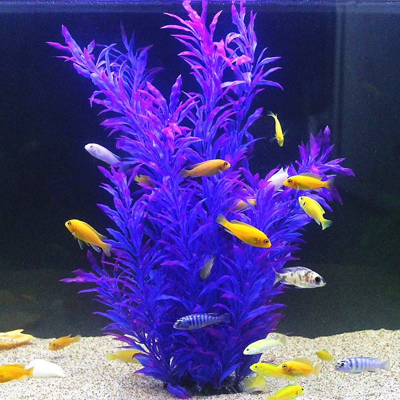 Plantes artificielles pour aqu - Aquarium Plant In Pot avis et prix