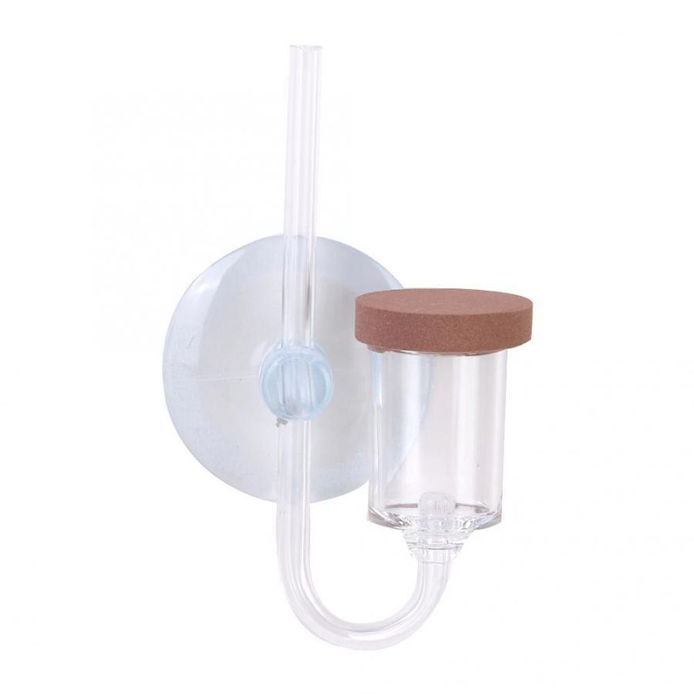 Mini Aquarium en acrylique, pl - Aquarium Plant In Pot avis et prix