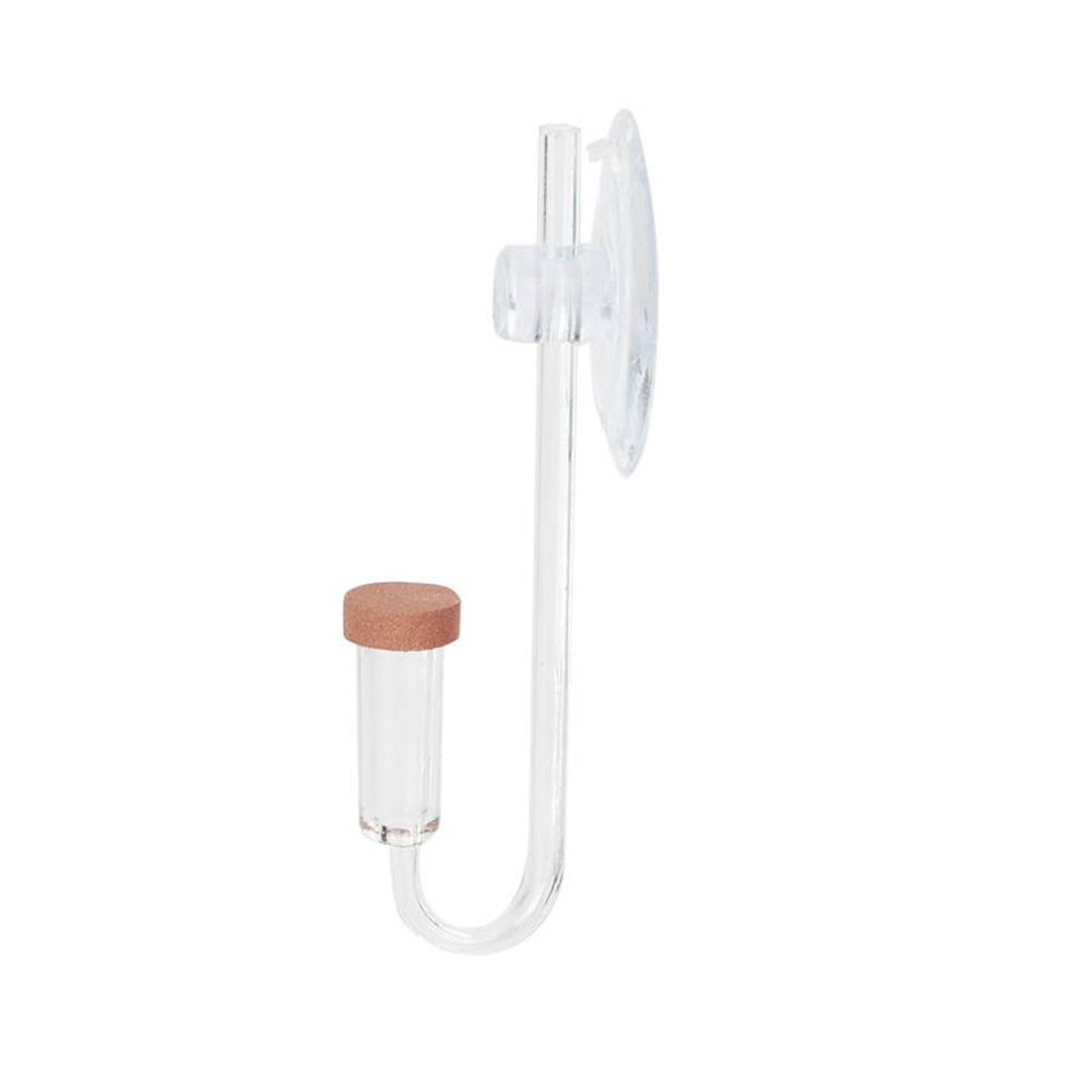 Mini Aquarium en acrylique, pl - Aquarium Plant In Pot avis et prix