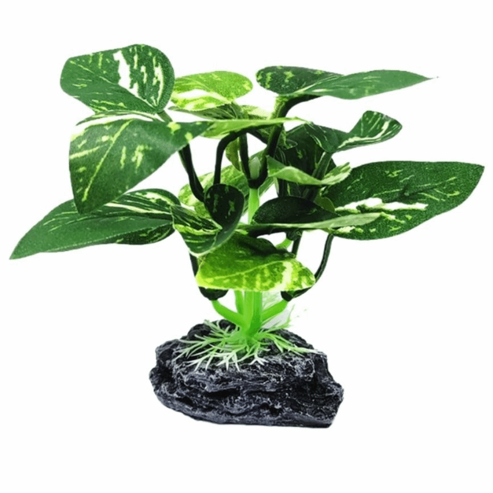 Plantes d'aquarium en matière  - Planted Aquarium Materials avis et prix