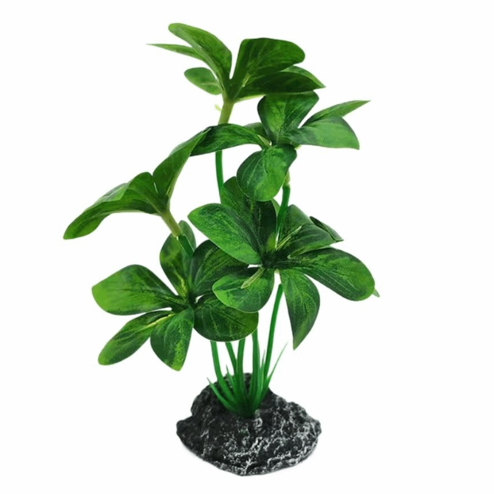 Plantes d'aquarium en matière  - Planted Aquarium Materials avis et prix