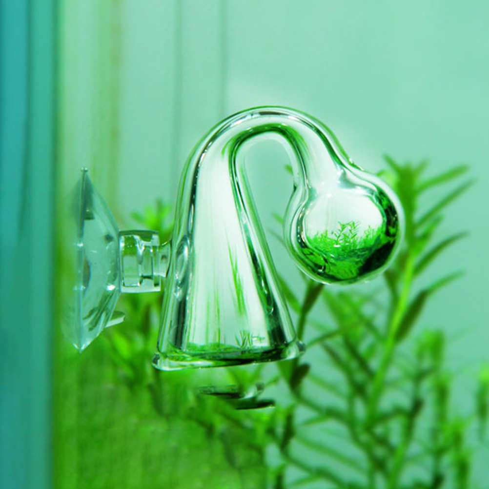 Vérificateur de gouttes de ver - Aquarium Plant In Pot avis et prix